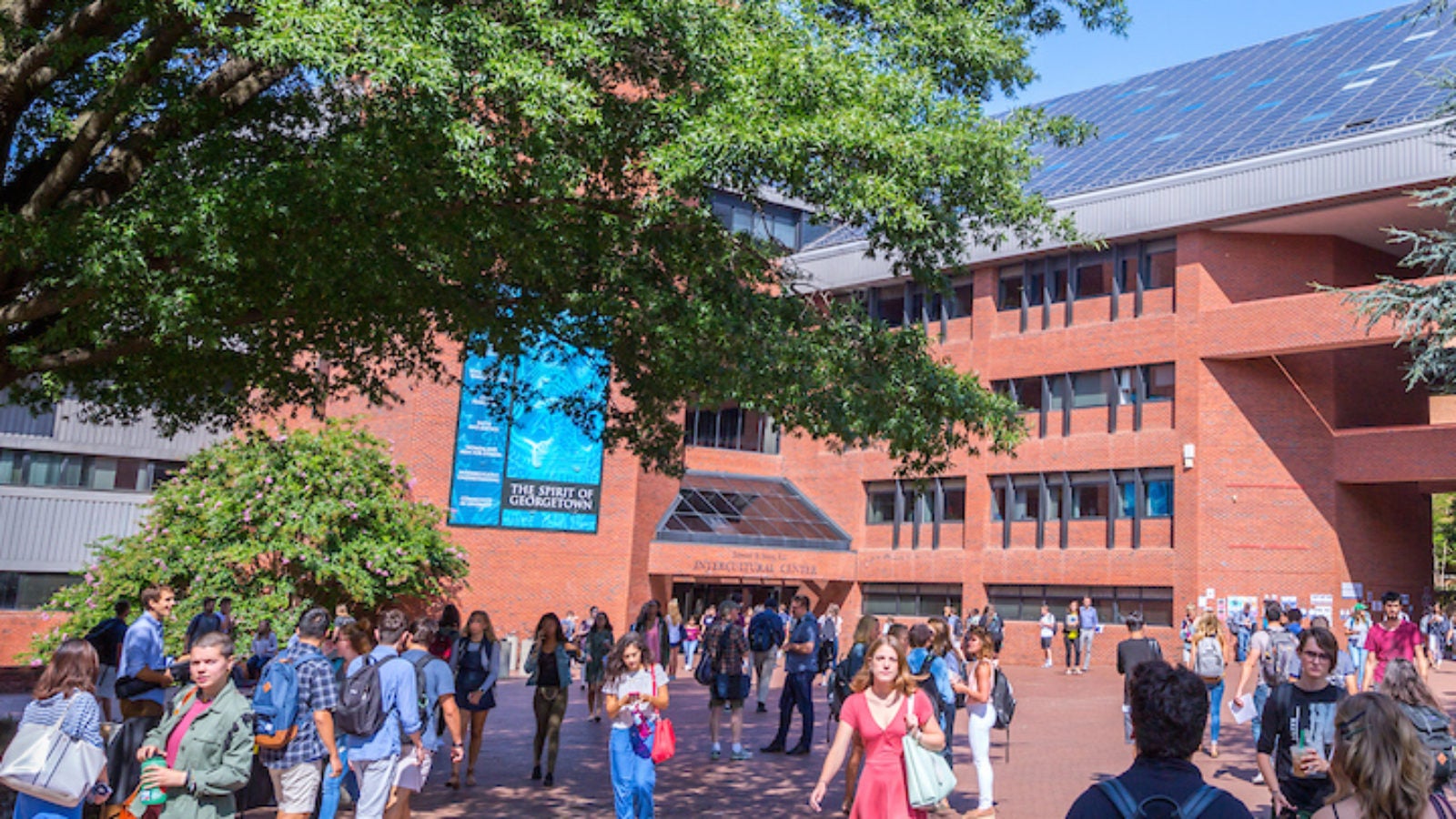 Students walking