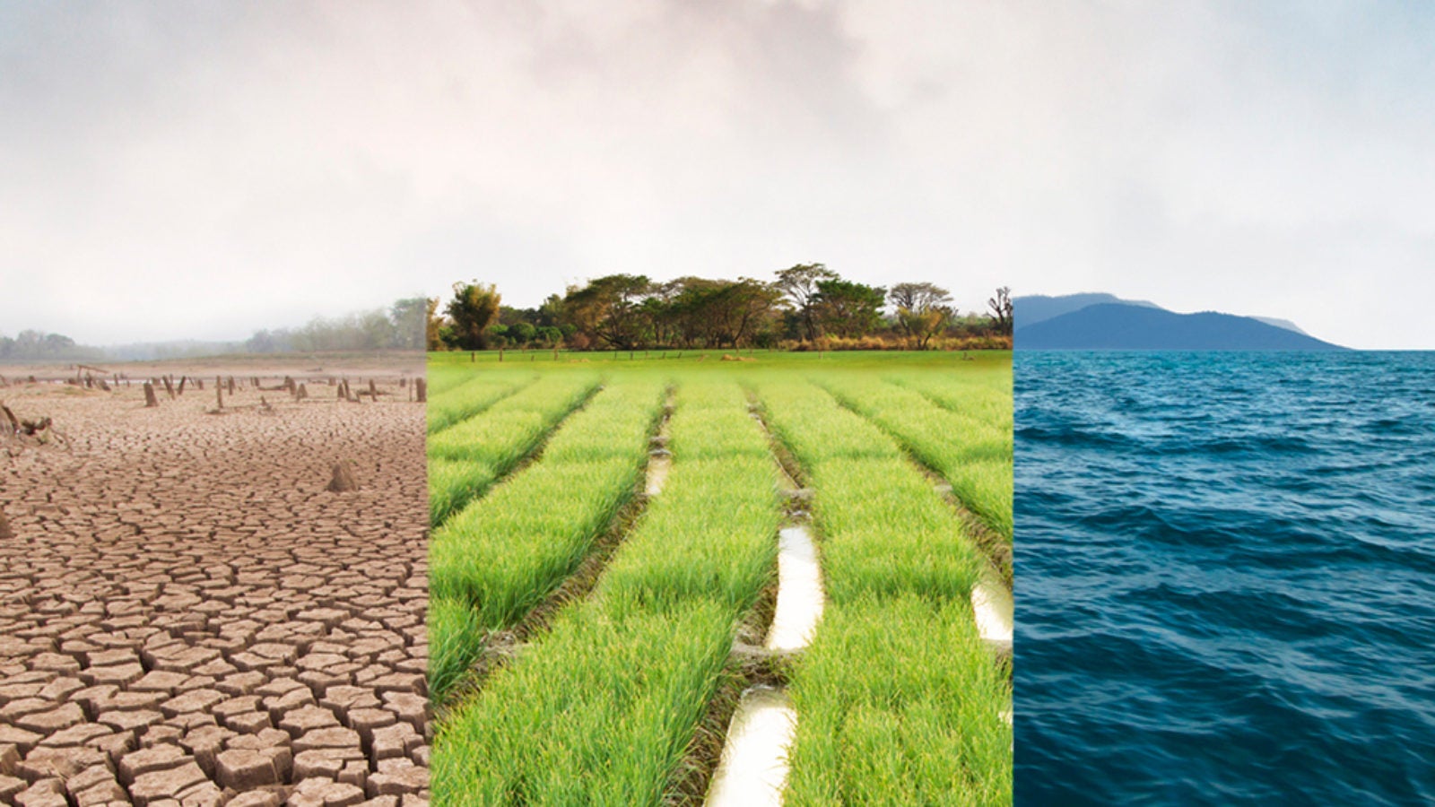 Desert, agriculture, and oceans