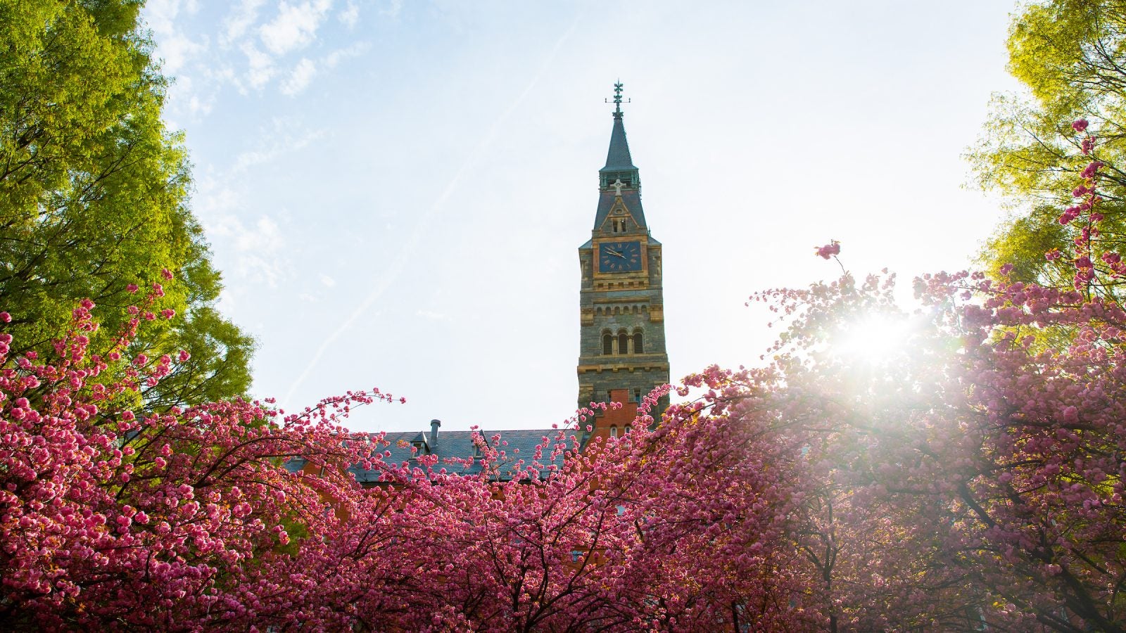Healy Hall with spring flowers