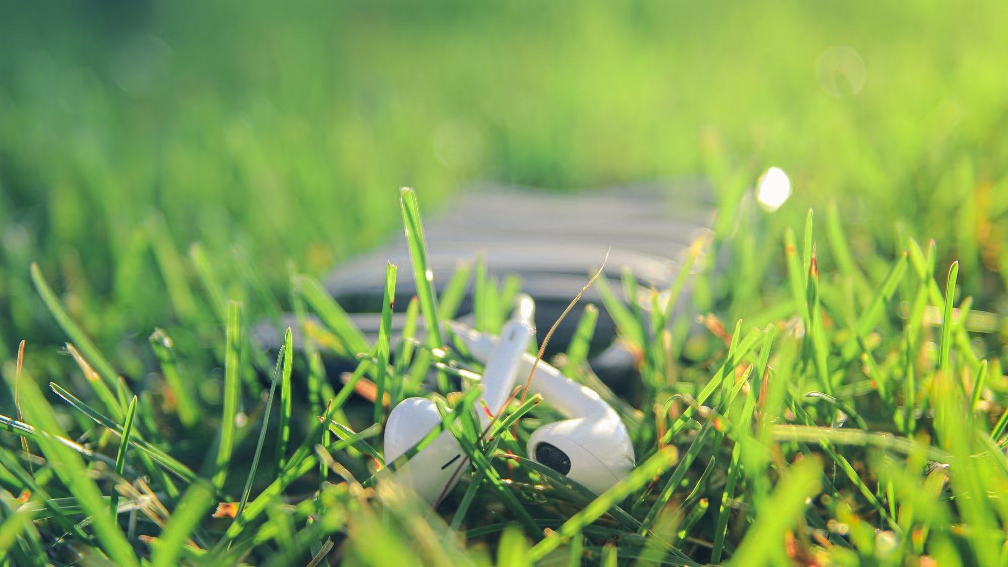 iPod with wired headphones lying in grass.