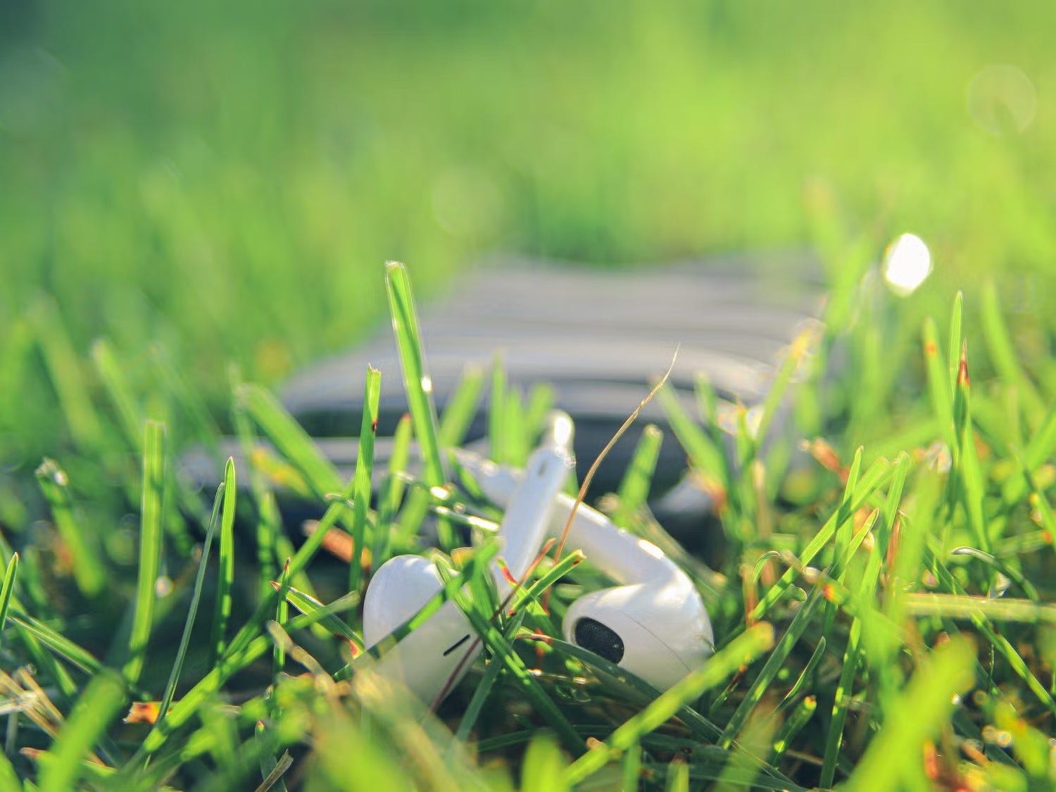 SSP Recommended Reading, Viewing, and Listening, Summer 2021
