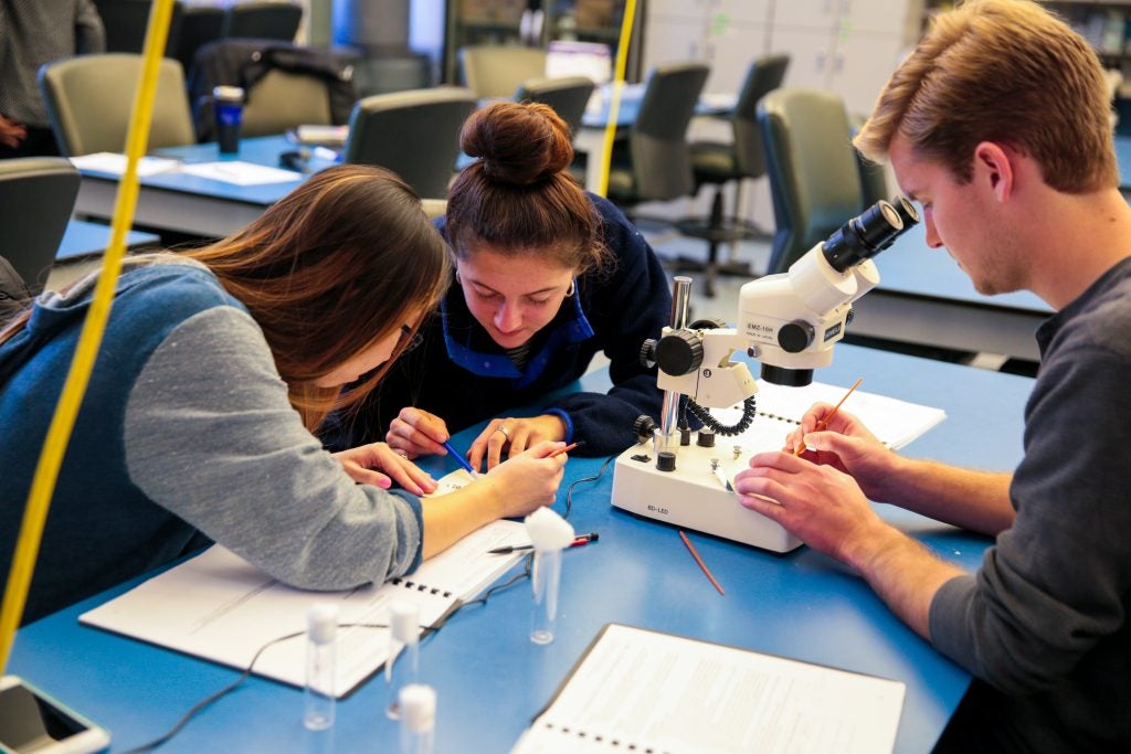 Students in science lab