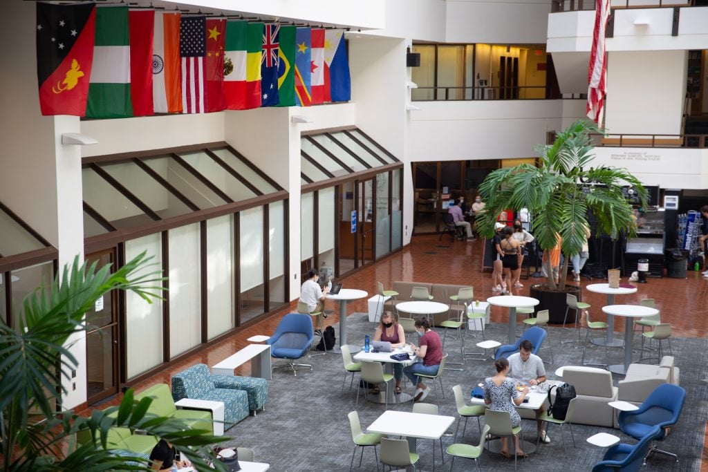 Student Government Elections, Office of the Dean of Students