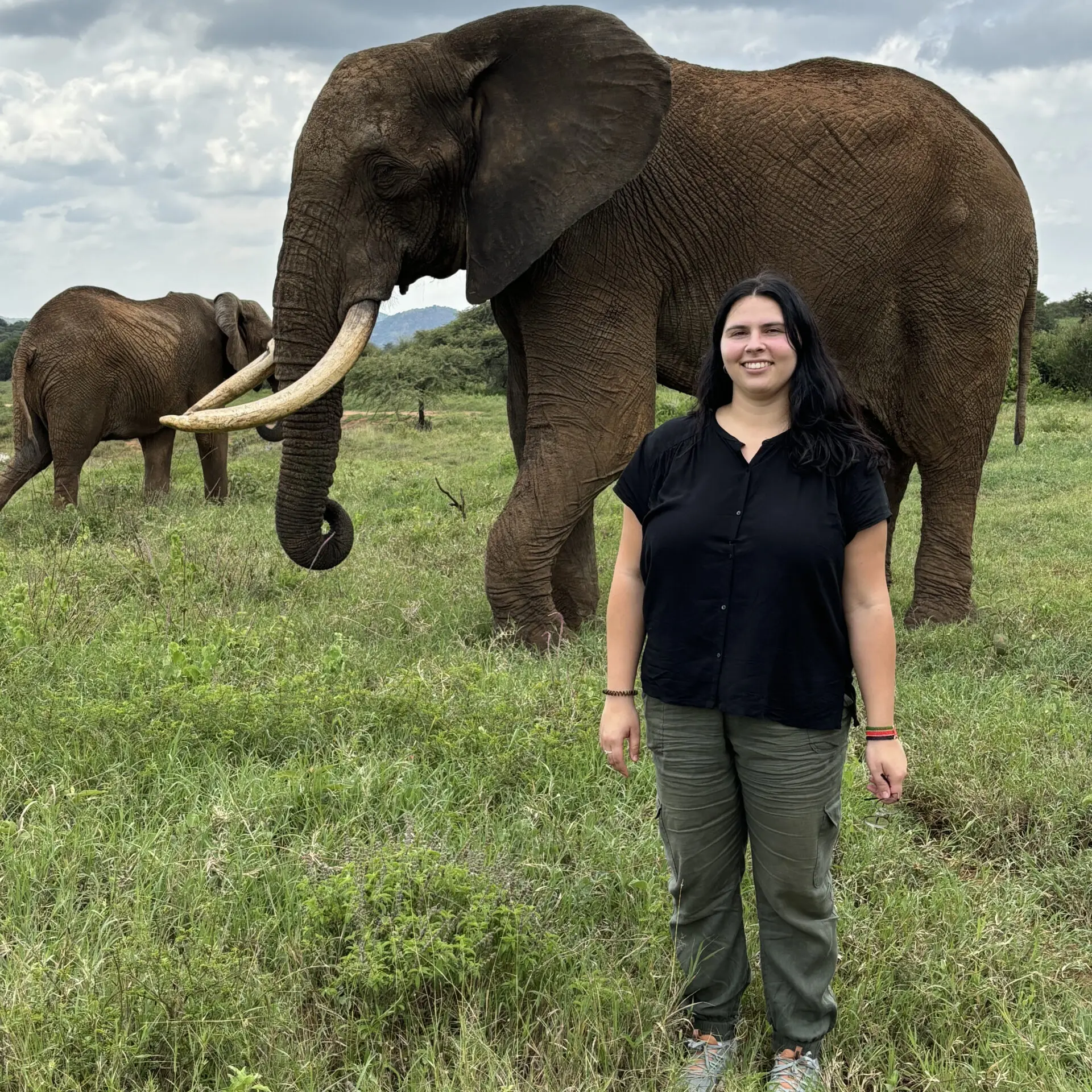 A person standing in front of an elephant in a grassy field under a cloudy sky.