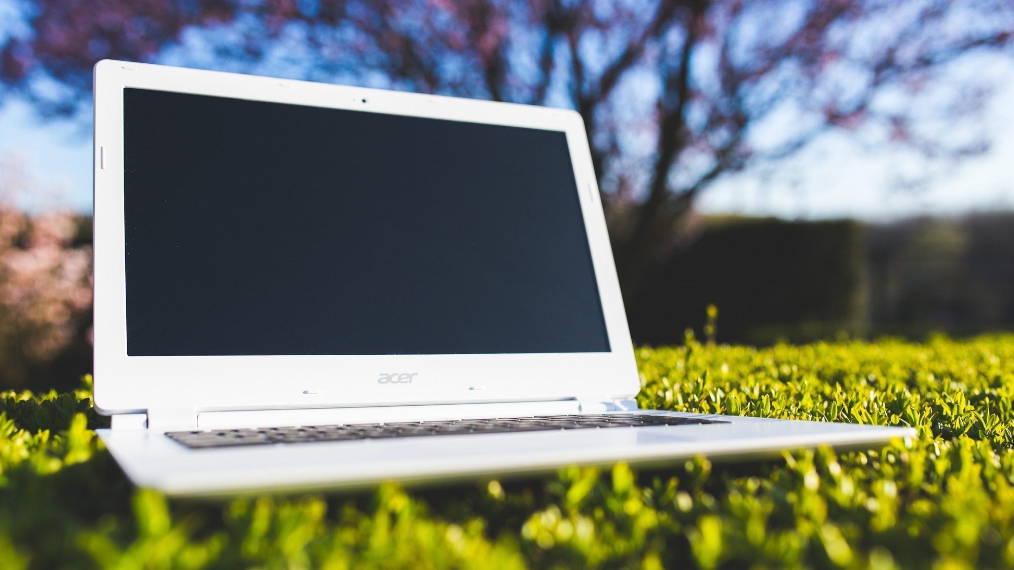 Open laptop sitting on green grass