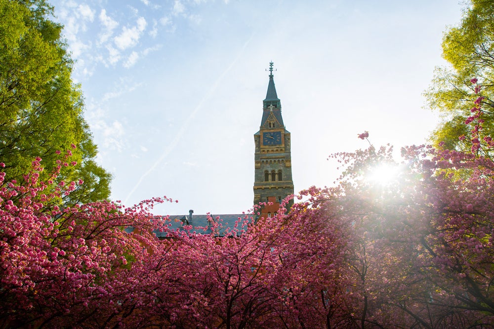 Healy Hall clock tower, surrounded by spring flowers
