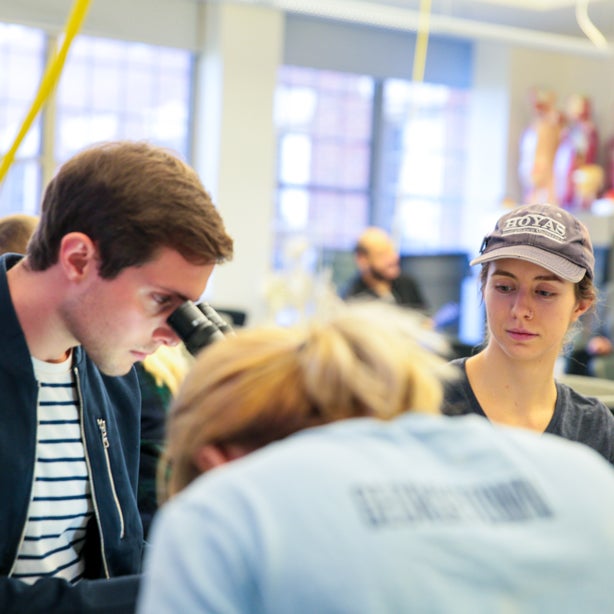 students in lab looking at a microscope