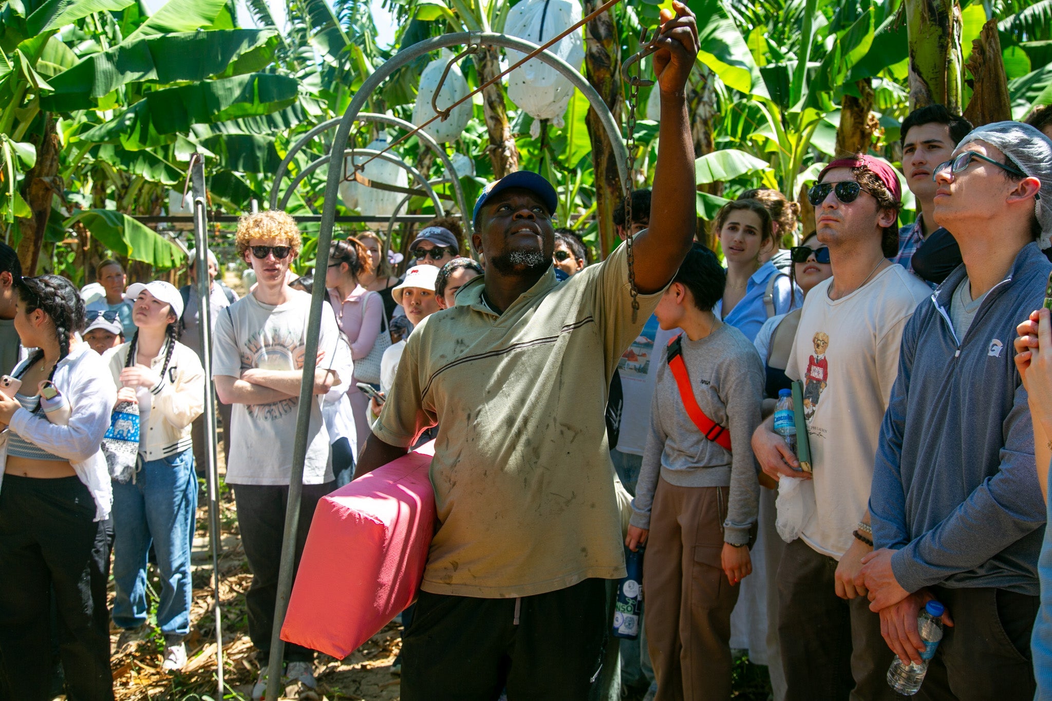 A large group of college students are shown banana trees on a banana plantation by a man holding a large red object.