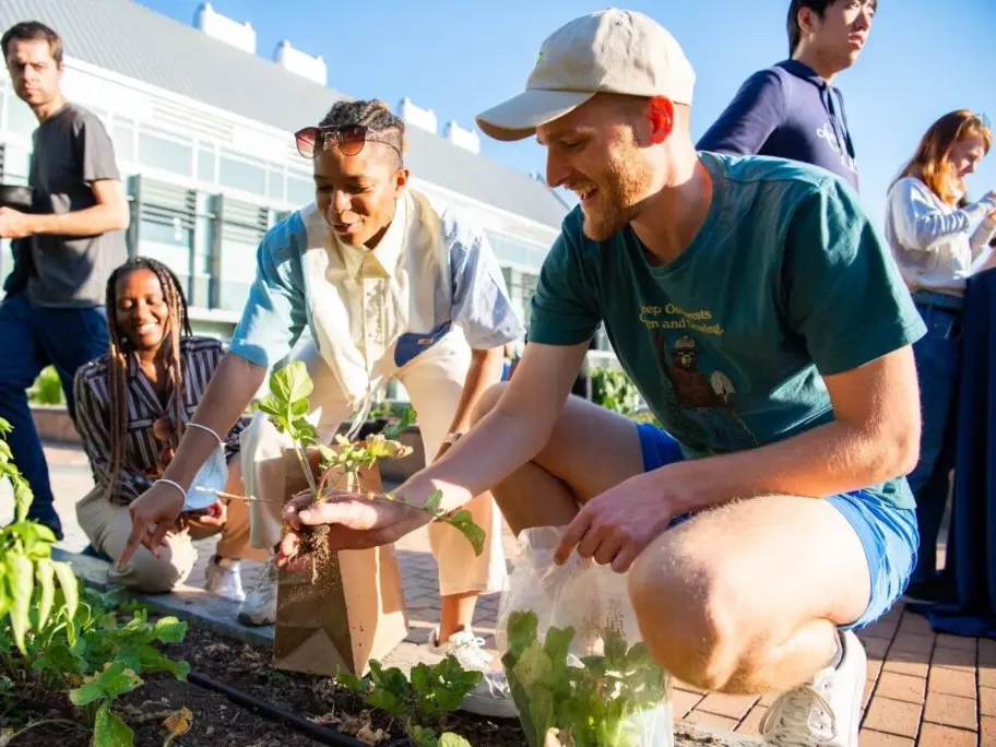 GHD students Kyla Denwood, Kennedy Copeland, and Richard Newsome (all GHD'25) plant in the garden at Georgetown.
