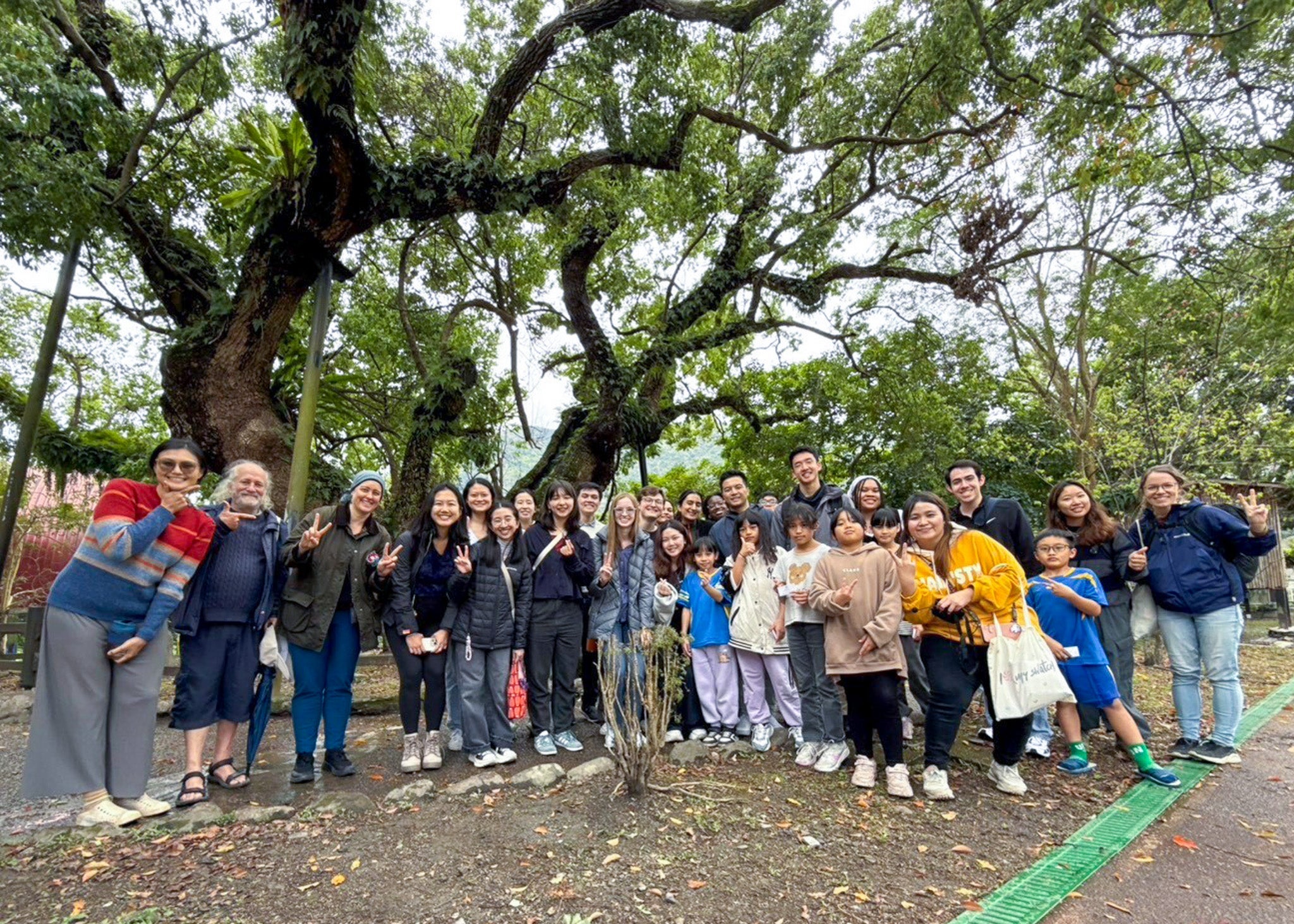 A large group of people standing on front of a low, wide tree with many branches and green leaves.