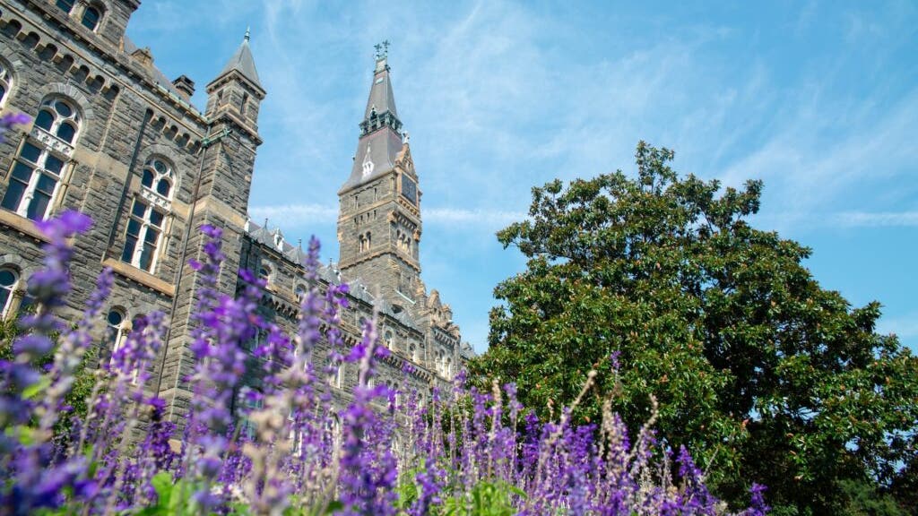 Healy Hall on Georgetown University's campus with purple flowers during a sunny spring day