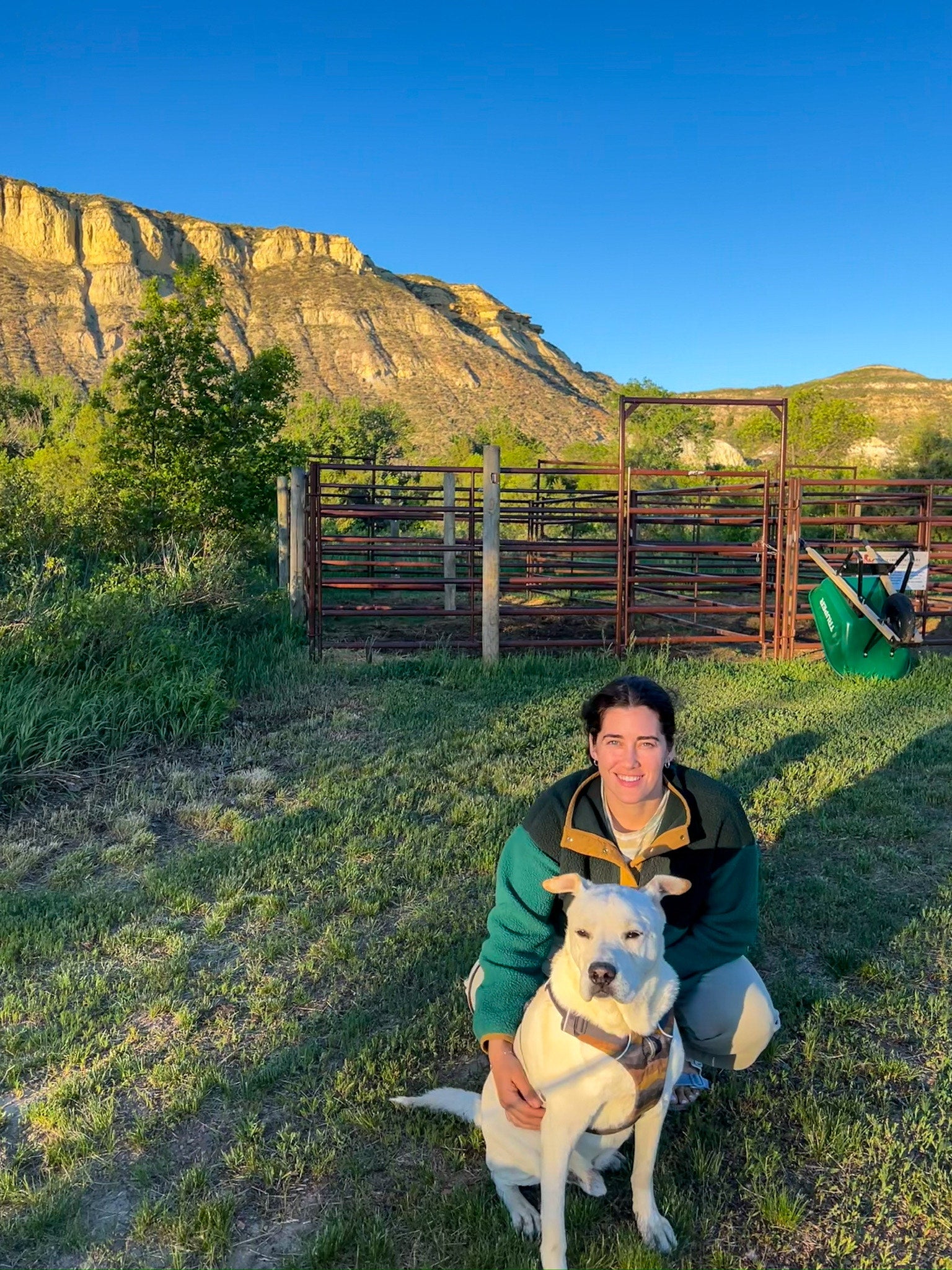 Person sitting with a dog in a grassy field, with a large mountain and a metal fence in the background.