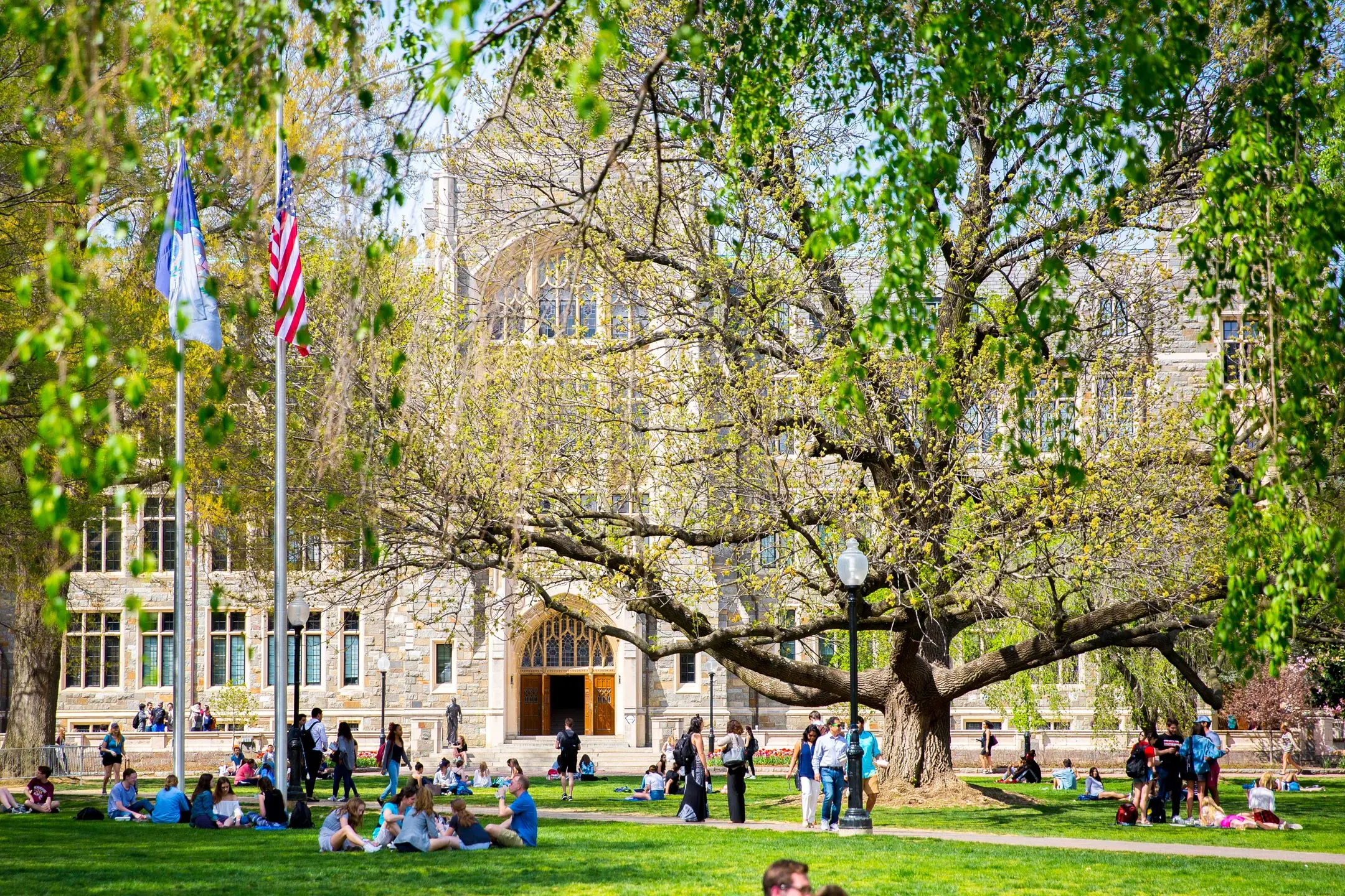 Georgetown campus in the spring. students sitting on the lawn, people walking in a sunny day. Trees are green.