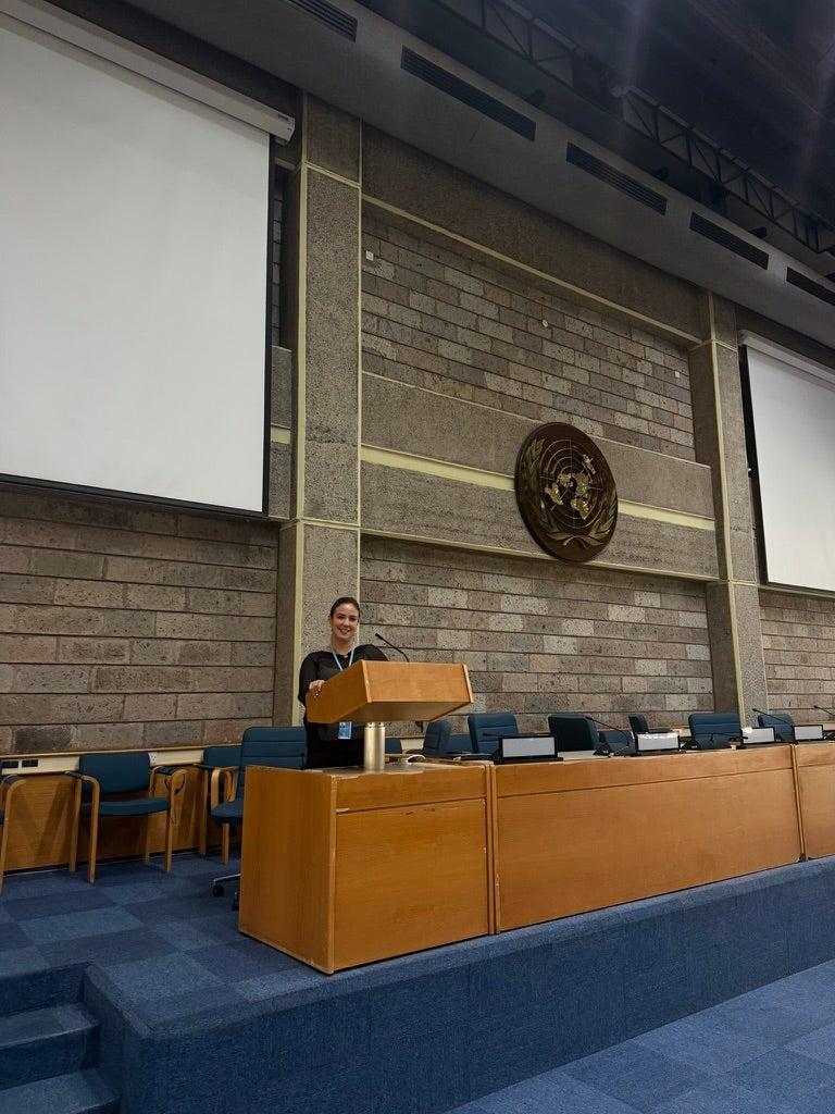 A person stands at a wooden podium in a large conference room with blue carpeting and seating. Behind them is the emblem of the United Nations on a stone wall. Two large projection screens are mounted on either side of the emblem.