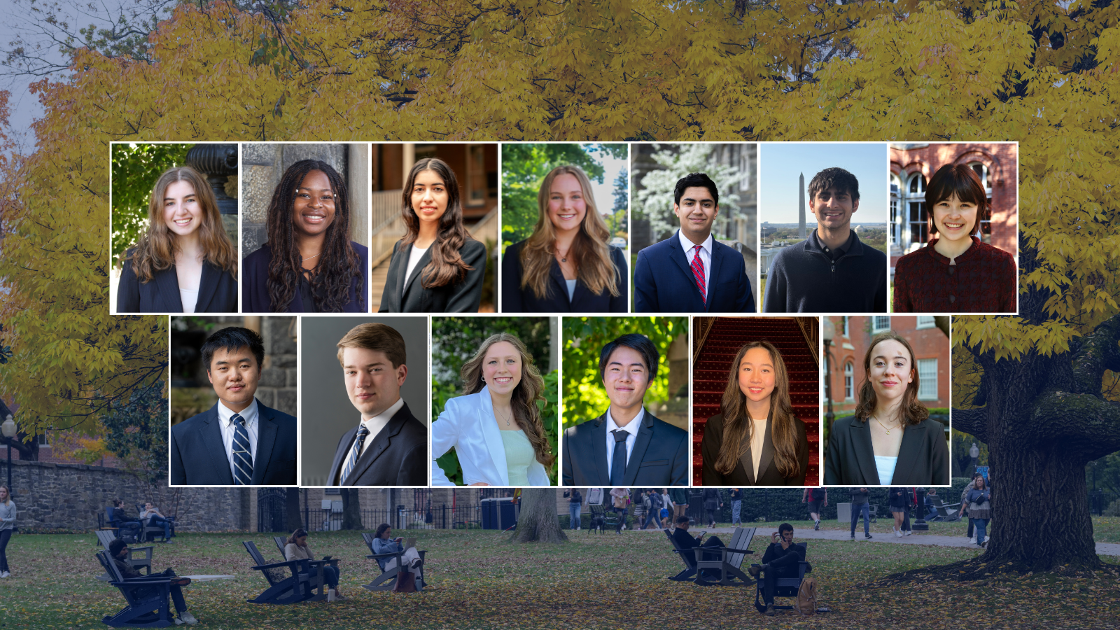 Headshots of thirteen individuals in professional attire. The background shows a park with a large tree and several people sitting on benches.