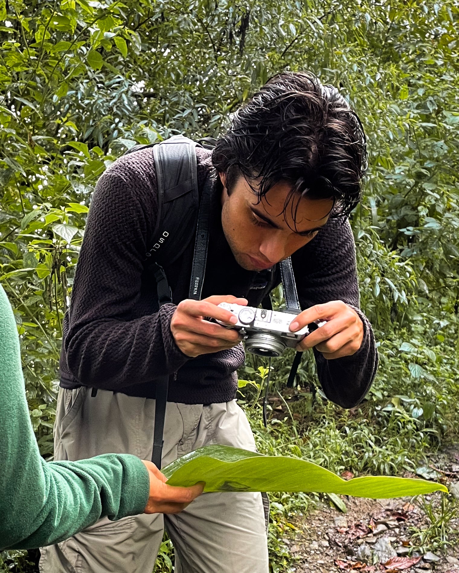 A person is intently photographing a large green leaf with a camera in a lush forest setting. Another individual is holding the leaf steady for the photo.
