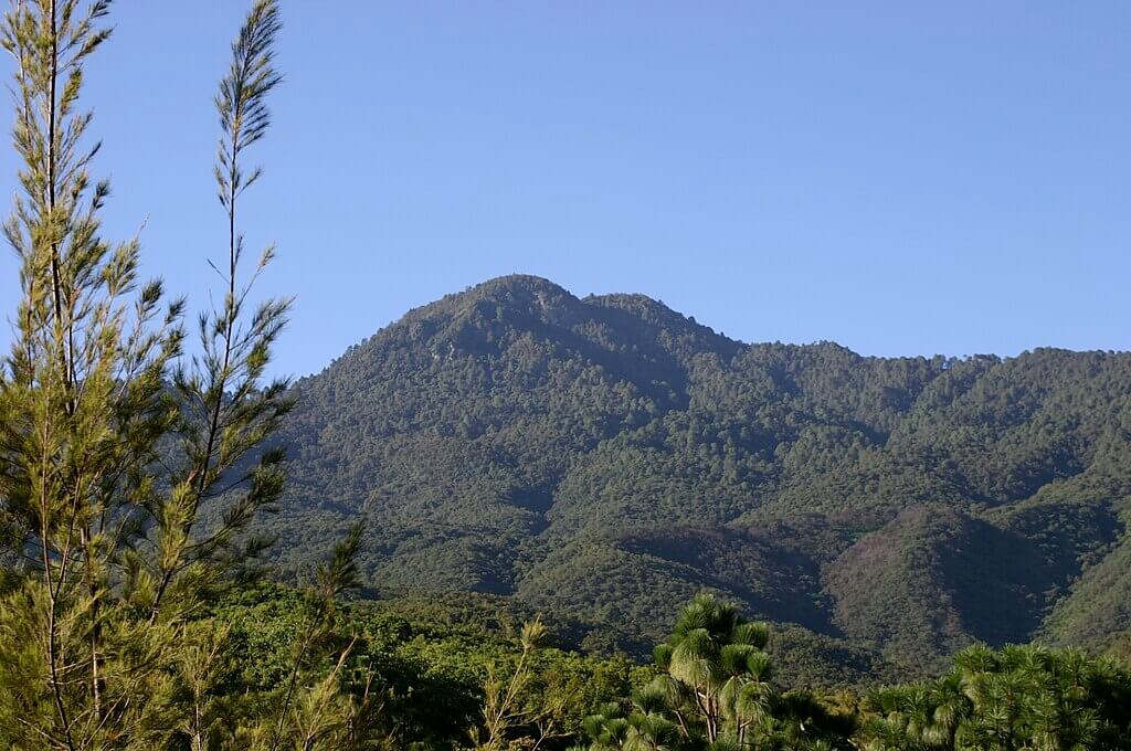 A lush, green mountain landscape under a clear blue sky, featuring dense forests and gentle slopes in the distance. Trees are visible in the foreground.